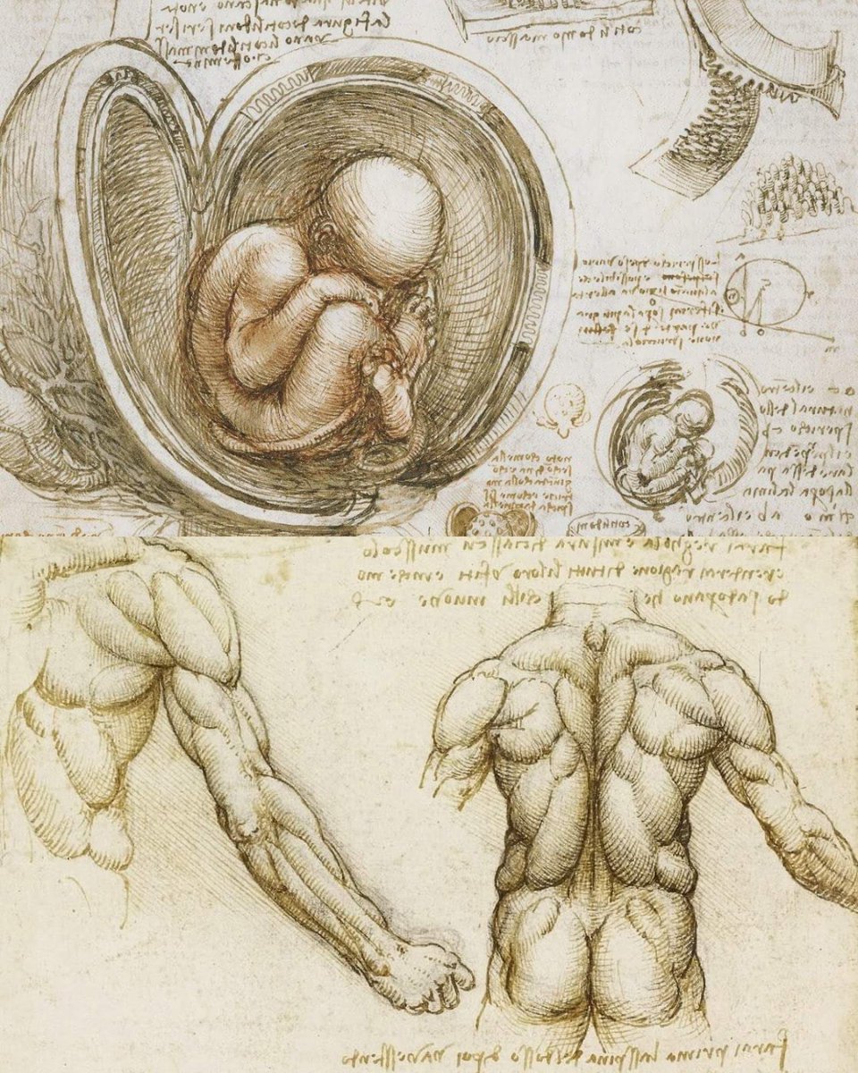 JeremyTate41's tweet image. The notebooks of great thinkers 🧵

1. Drawings from Leonardo da Vinci&apos;s notebook