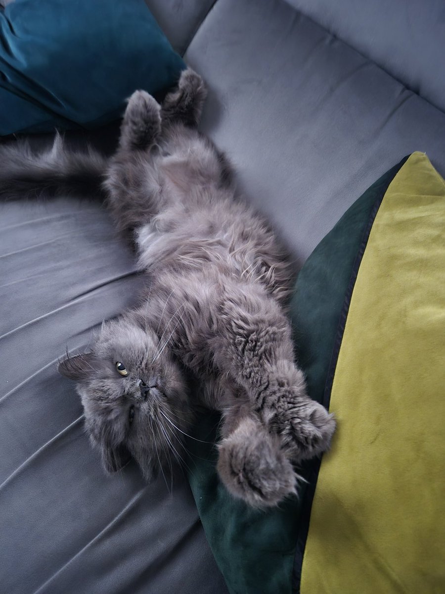 Ich wünsche euch einen schönen gemütlichen Abend 😊🌟🍀.  Heute mich einrenken lassen am Rücken,  das hat vielleicht geknackt 🙈.