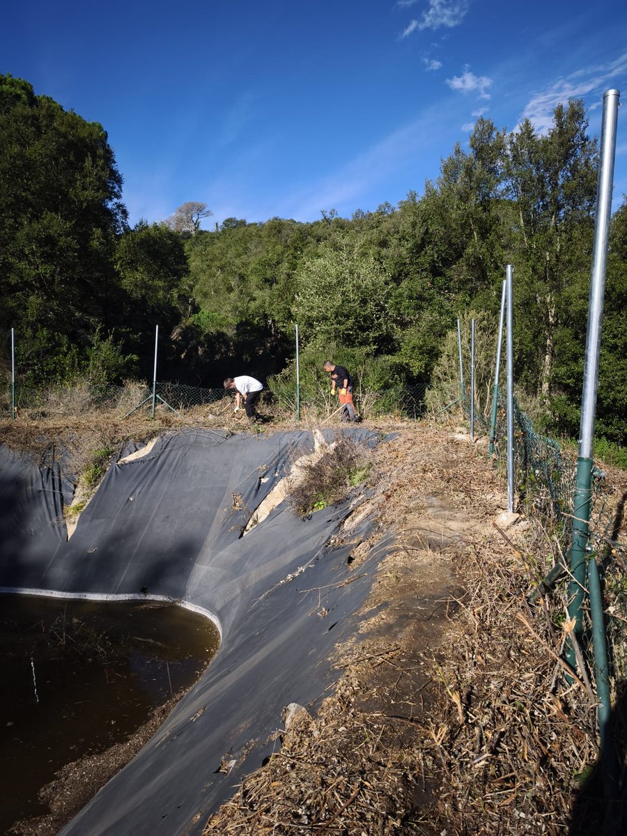 ADF Forestec (Sant Celoni) tweet media
