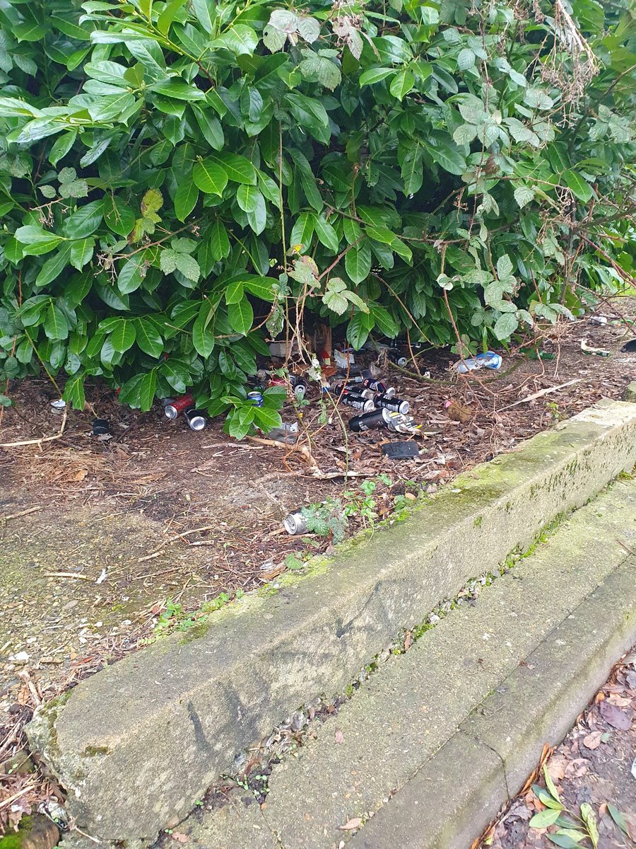 <a href="/Royal_Greenwich/">Royal Borough of Greenwich</a> please can you look into this asap, previous requests have been ignored, as have all suggestions to improve the area. This is Mountbatten Close SE18 and adjacent green. A frequent occurrence <a href="/abenaopp/">Abena Oppong-Asare MP</a> <a href="/PlumCommonCllrs/">Plumstead Common Cllrs</a> <a href="/Plmstd/">Plumstead News</a>