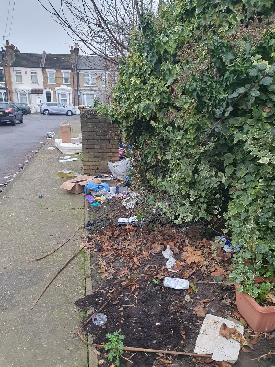 Timbercroft Resident 🌱 tweet media