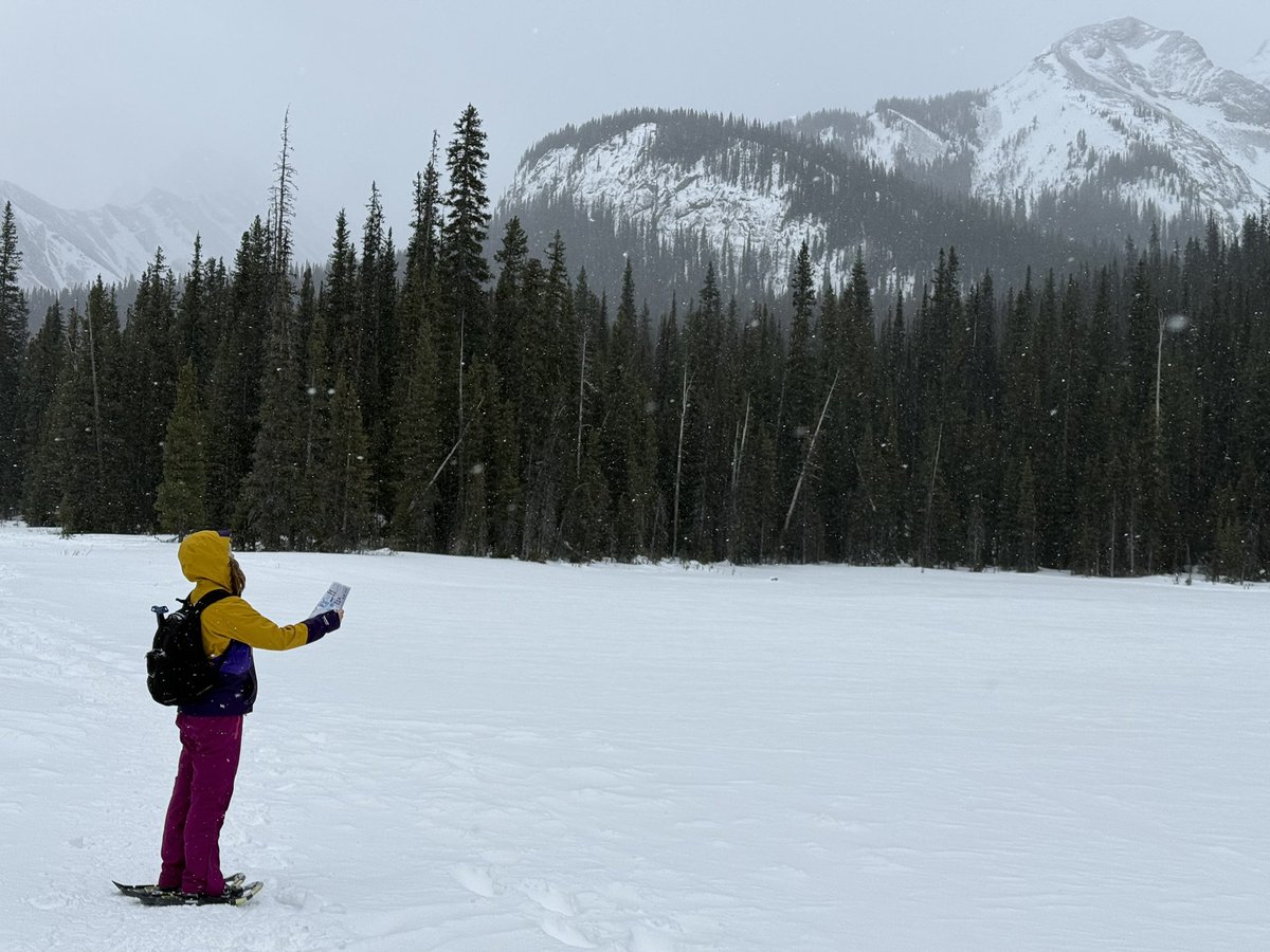 Court Rustemeyer (@rusty1122) on Twitter photo Some amazing adventures with students these past few weeks! 🏔️❤️❄️
<a href="/GEOEC/">GEOEC</a> <a href="/albertateachers/">Alberta Teachers' Association</a> <a href="/yyCBEdu/">Calgary Board of Education</a> <a href="/NatGeoEducation/">Nat Geo Education</a>
#snowshoe Some amazing adventures with students these past few weeks! 🏔️❤️❄️
<a href="/GEOEC/">GEOEC</a> <a href="/albertateachers/">Alberta Teachers' Association</a> <a href="/yyCBEdu/">Calgary Board of Education</a> <a href="/NatGeoEducation/">Nat Geo Education</a>
#snowshoe