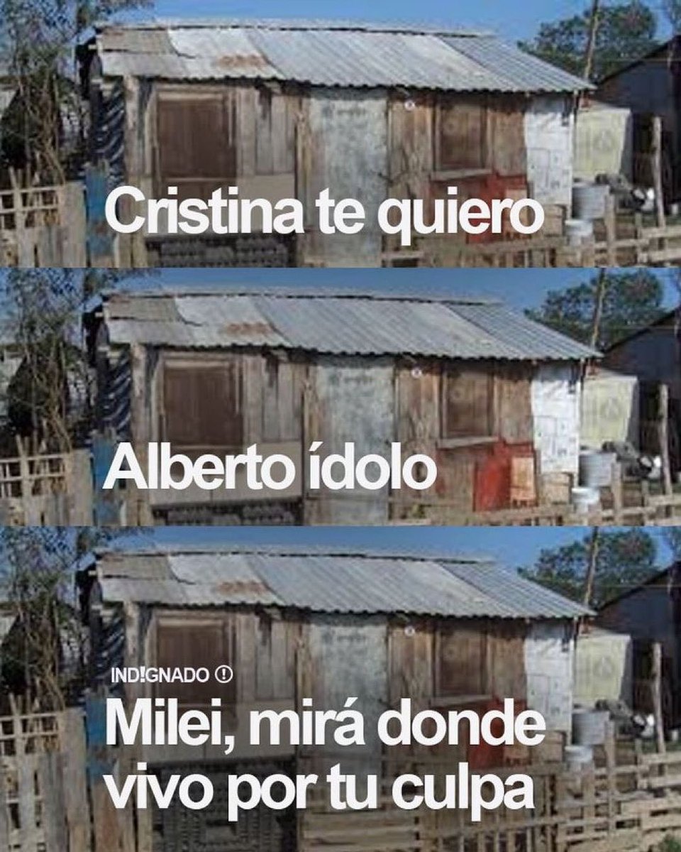 LITERALMENTE SON ESTE MEME XD