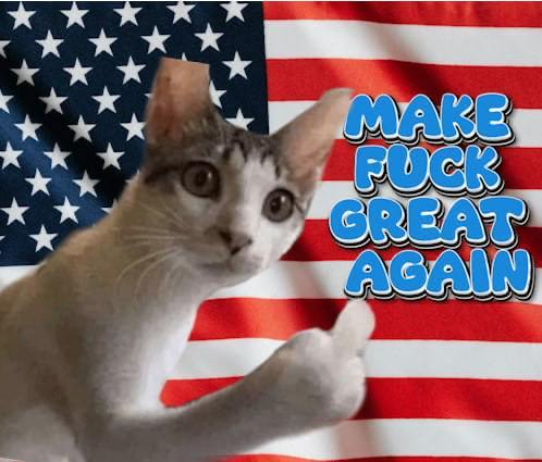 make $fuck great again

CA: 5g1159uvtYGR9wnuRiGEuovU2ajatpJvYYfdQb5epump

WEBSITE: fuckmeow.com

TG: t.me/fuckmeowsol