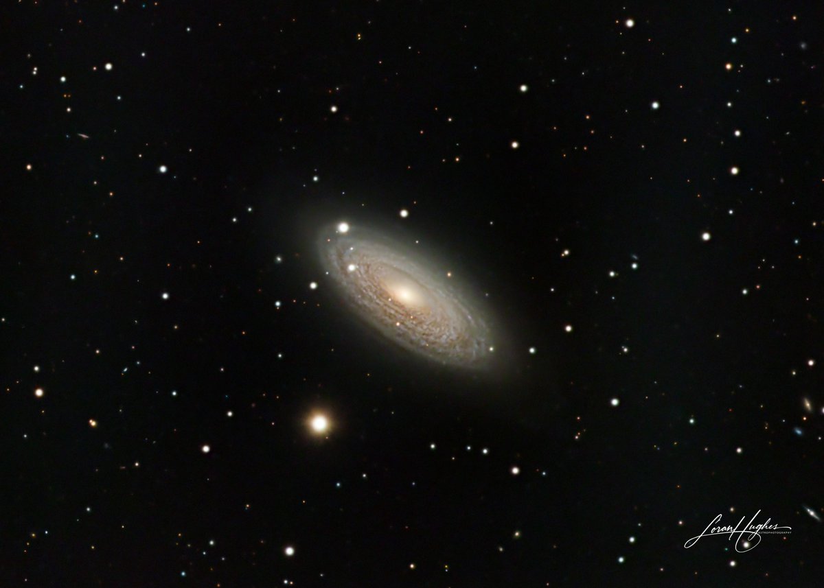 Galaxy NGC 2841 in Ursa Major, some 46 Mly from the driveway! See my Astrobin for image details at app.astrobin.com/i/n0g7hz #Astrophotography #astronomy