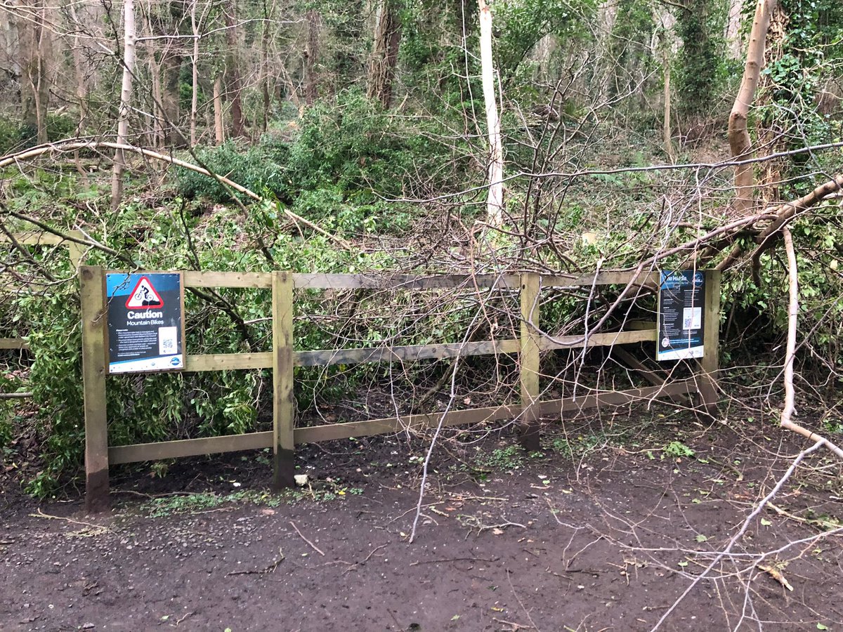 Cavehill Mountainbikers (@cavehillmtbers) on Twitter photo Due to storm damage caused by #StormÉowyn the Middle Trail will remain closed. <a href="/belfastcc/">Belfast City Council</a> Due to storm damage caused by #StormÉowyn the Middle Trail will remain closed. <a href="/belfastcc/">Belfast City Council</a>