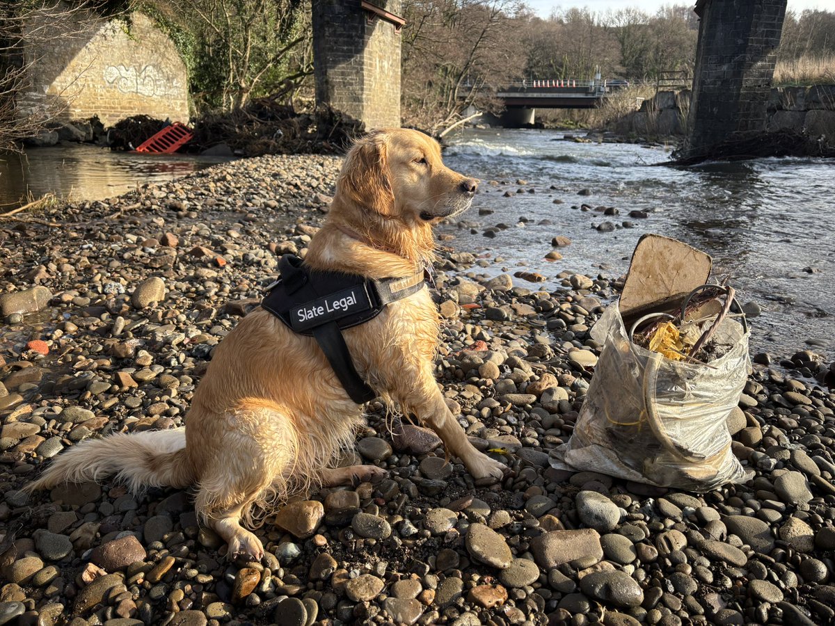 Lottie helped me pick out this load of plastic, metal &amp; glass from the banks of the river Ebbw this morning.  We cleared a lot of rubbish from the hedges and low branches too. Looks much better already. Every little helps! — at Ebbw River.