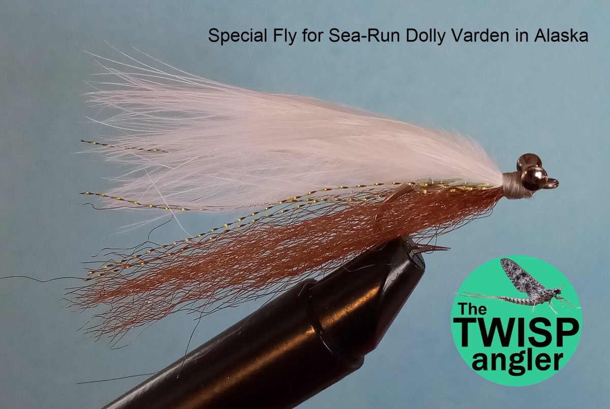 Mike Sales tweet media