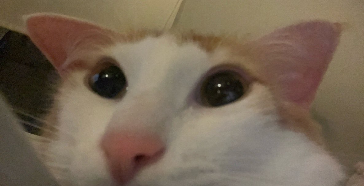 Tavşik olduğum fotiyi atiyorum gislimiz saklımıs kalmamış