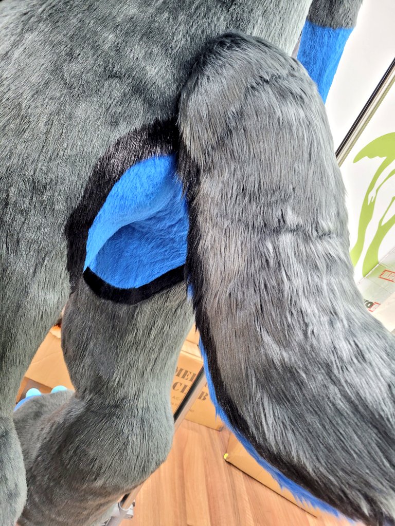Selkie Suits (@selkiesuits) on Twitter photo Finishing this bodysuit feels like such an achievement after being away from creating for so long  π₯° Finishing this bodysuit feels like such an achievement after being away from creating for so long  π₯°