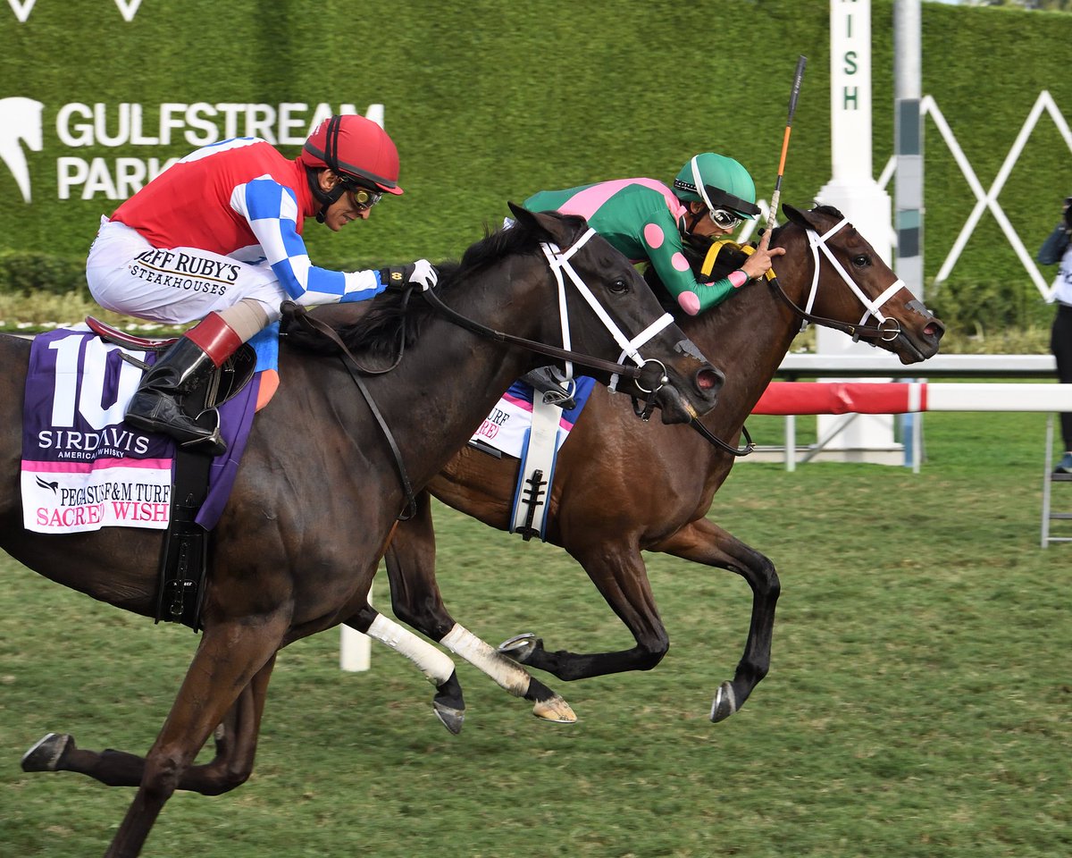 Pegasus World Cup (@pegasusworldcup) on Twitter photo Be Your Best (IRE) digs deep to earn the victory in the <a href="/TBaftercare/">Thoroughbred Aftercare Alliance</a> Pegasus World Cup Filly & Mare Turf Stakes presented by SirDavis with <a href="/zayas_edgardo/">Edgardo Zayas</a> for trainer <a href="/SaffieJosephJr/">Saffie Joseph Jr.</a>. Be Your Best (IRE) digs deep to earn the victory in the <a href="/TBaftercare/">Thoroughbred Aftercare Alliance</a> Pegasus World Cup Filly & Mare Turf Stakes presented by SirDavis with <a href="/zayas_edgardo/">Edgardo Zayas</a> for trainer <a href="/SaffieJosephJr/">Saffie Joseph Jr.</a>.