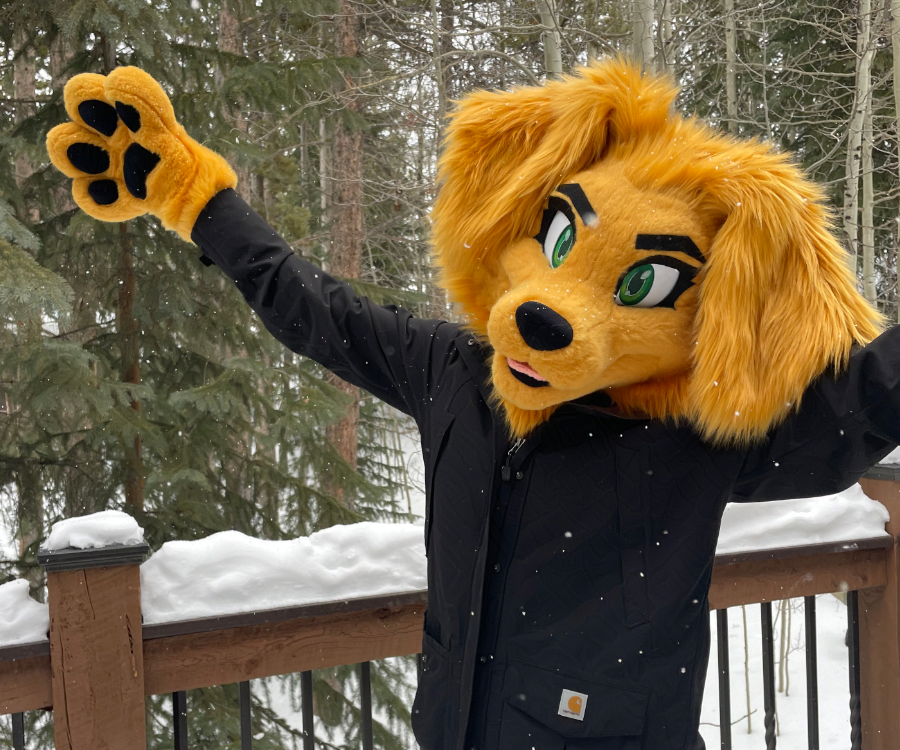 ❄🌨 dog ( late #FursuitFriday  )
----
🪡: fleetingfennec x TenkoArtz