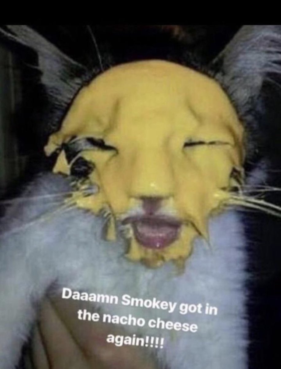 DANKMEMESSOLANA's tweet photo. I feel ya Smokey, nacho cheese is friggin  $dank https://t.co/vlrEyqacWm
