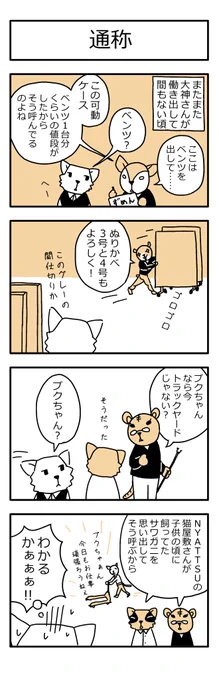 学芸員の観察日記166「通称」
#学芸員のおしごと #学芸員のお仕事 