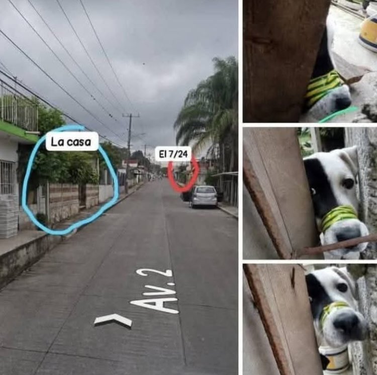 OMEYOCAN A.C. tweet media