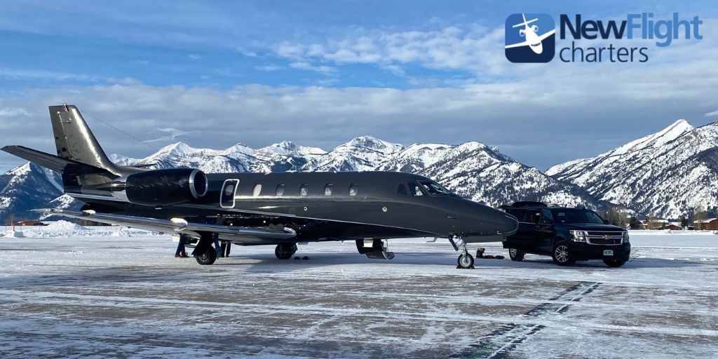 New Flight Charters tweet media
