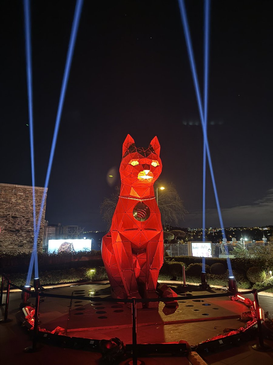 We out here 🐱🐈 <a href="/JupiterExchange/">Jupiter (🐱, 🐐)</a> <a href="/AnzenFinance/">Anzen</a>