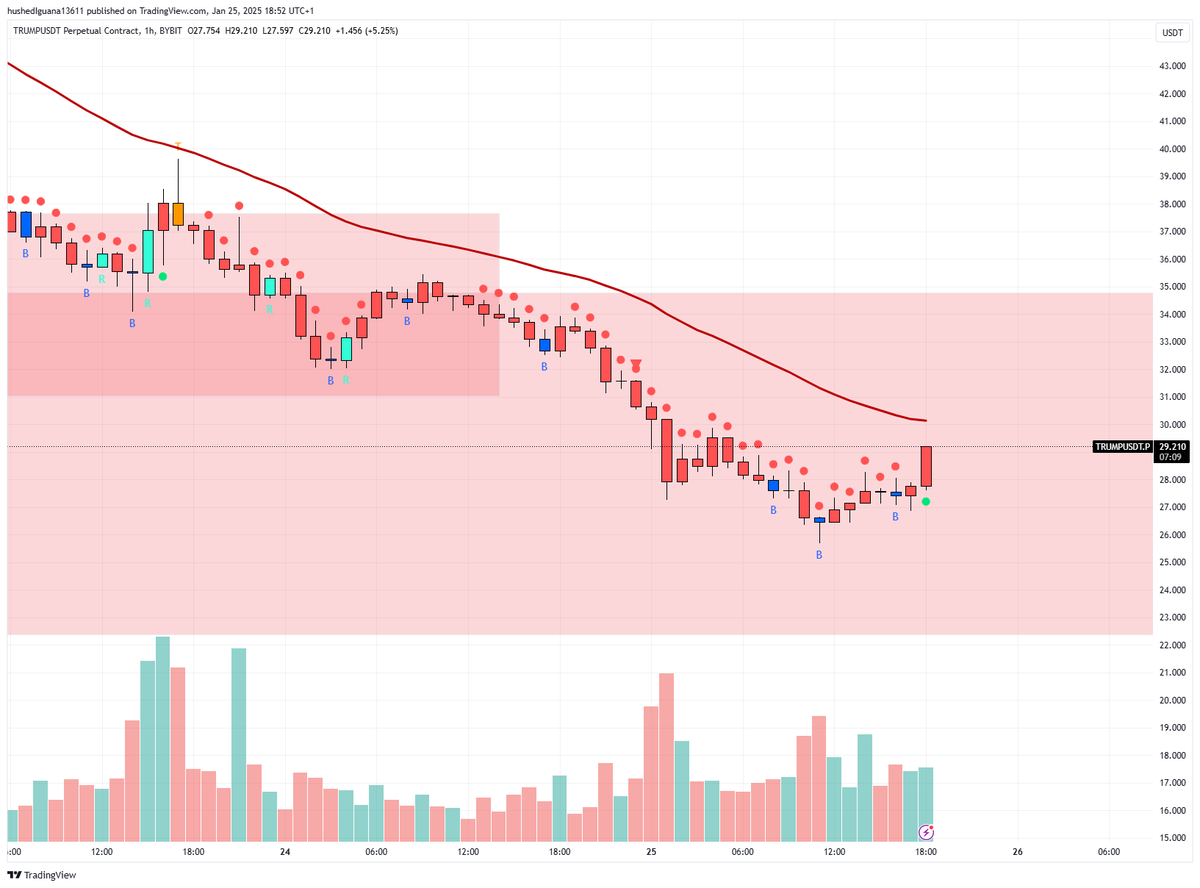 cryptoboomer tweet media