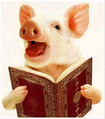 katydepoes's tweet photo. @vivscontent @Esther_Voet Lekker halalah https://t.co/ikWMg7bAUX