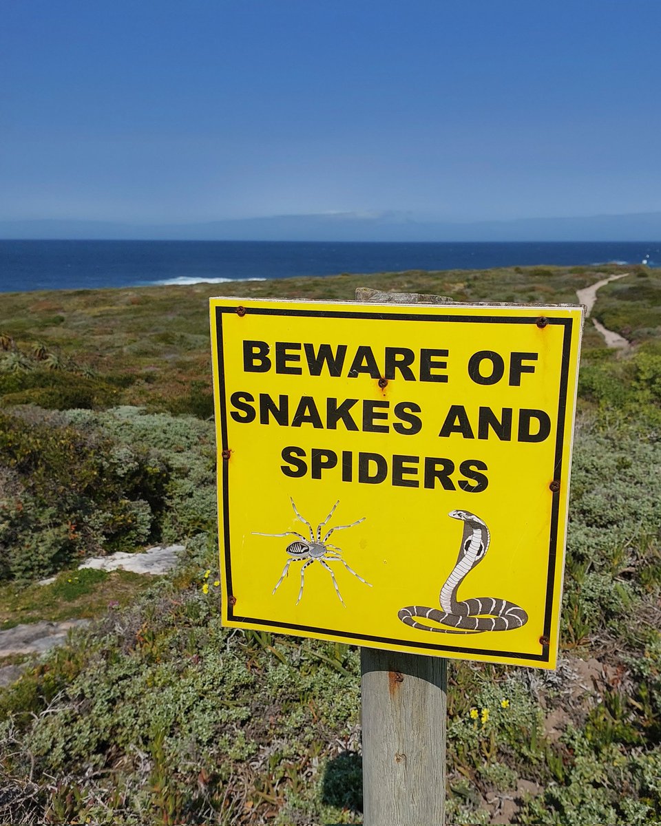 Winelands's tweet photo. But otherwise, the sea views are fantastic! 🤪 @WhaleCoastSA @GansbaaiTourism #Dangerpoint https://t.co/LjPXaiEJWb