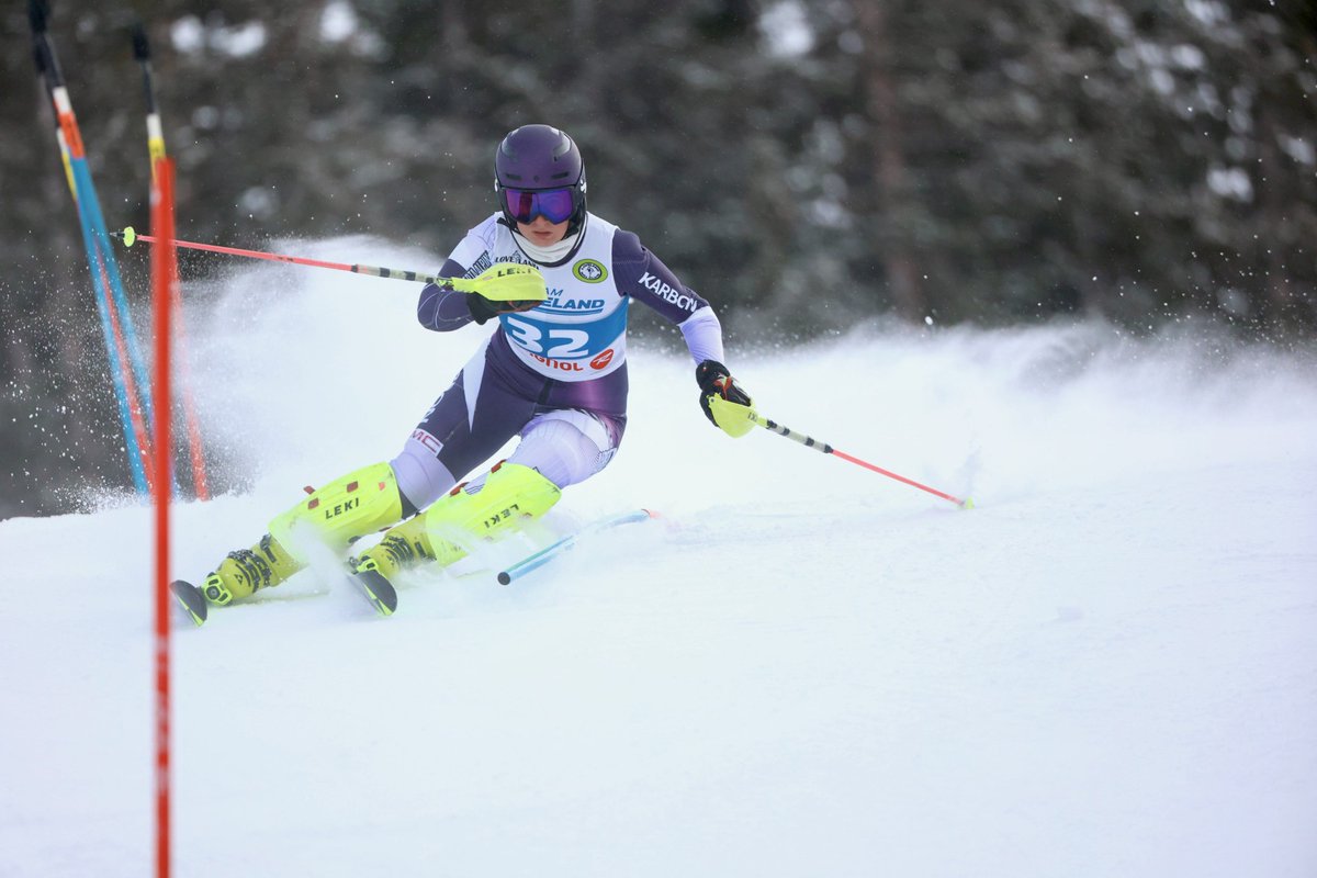 Alberta Alpine Ski Association tweet media