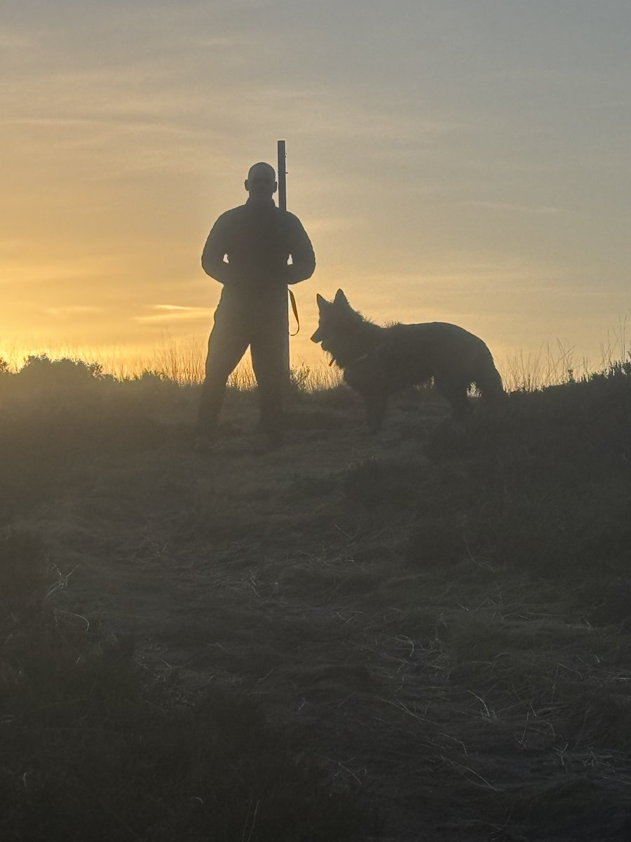 Mark Storie tweet media