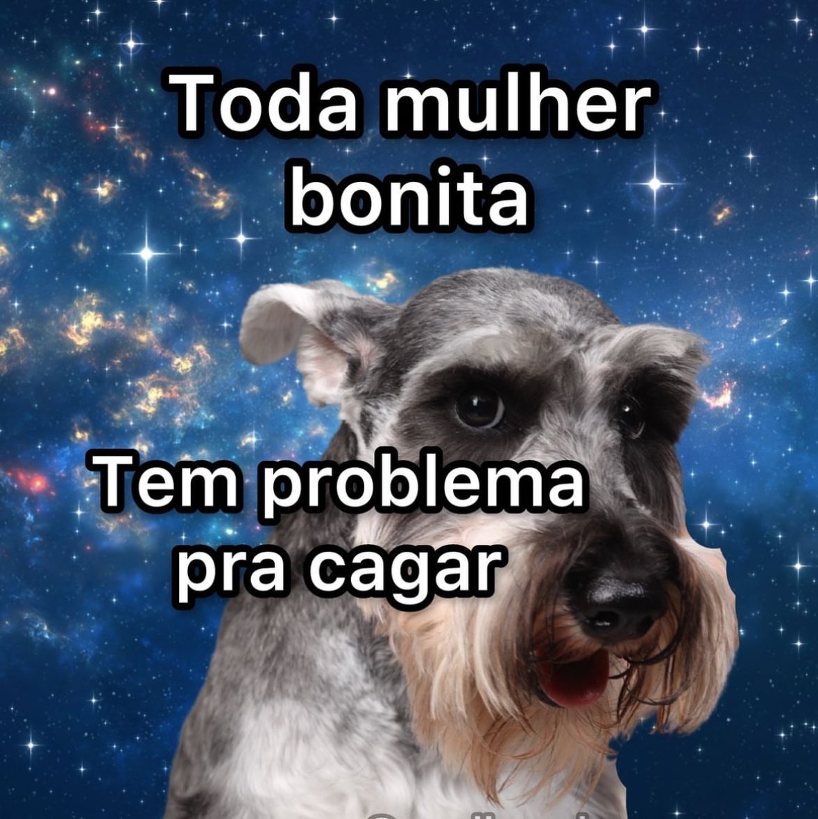 joacobl6's tweet photo. https://t.co/8PECOas5CH