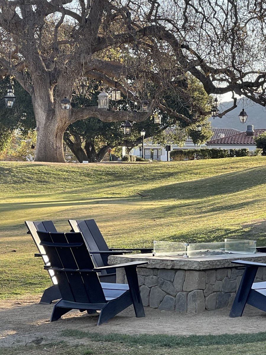 Nina Riggins, MD, PhD, FAAN, FAHS, UCNS Diplomate tweet media