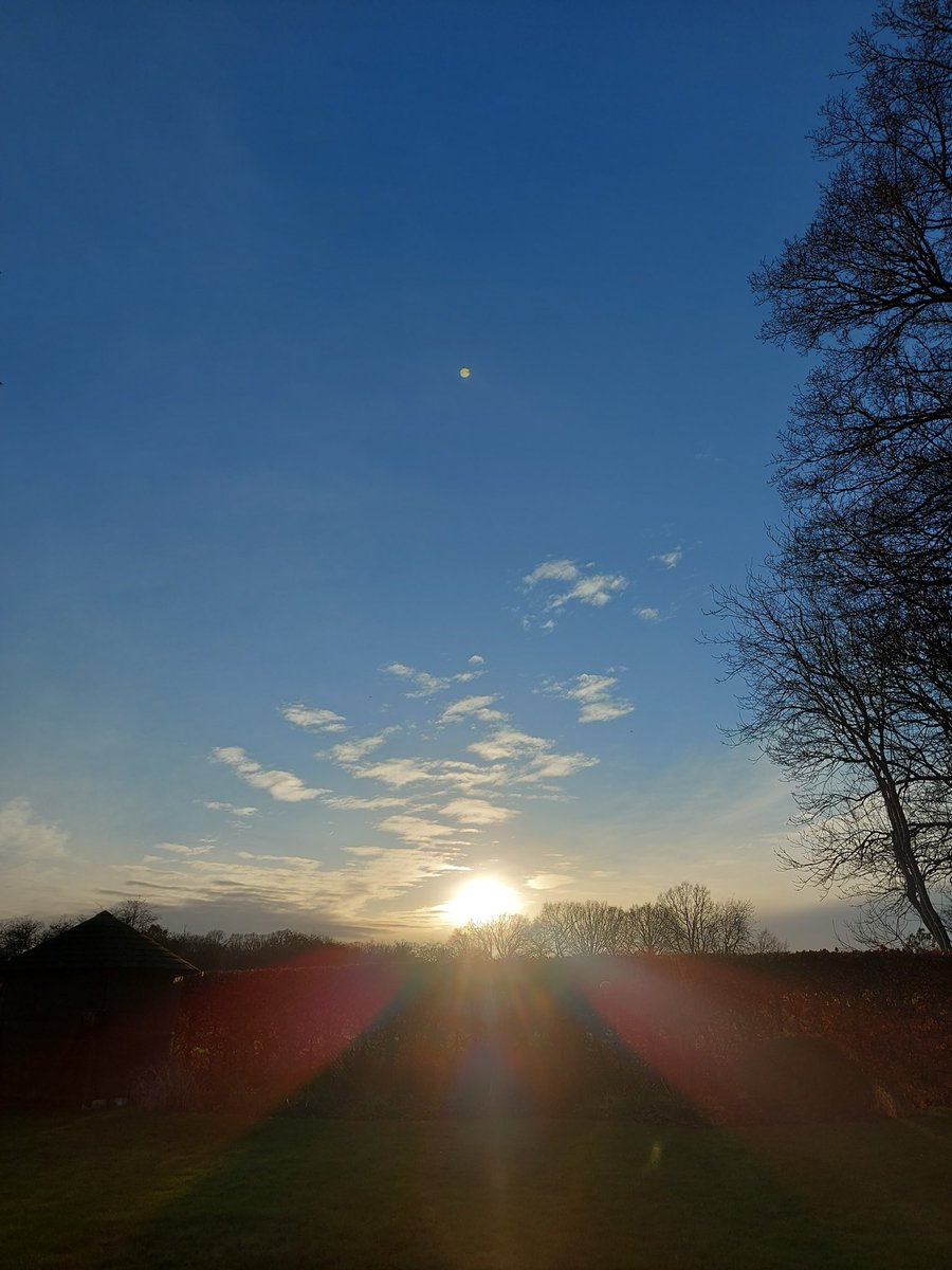 Mark Mayhew tweet media