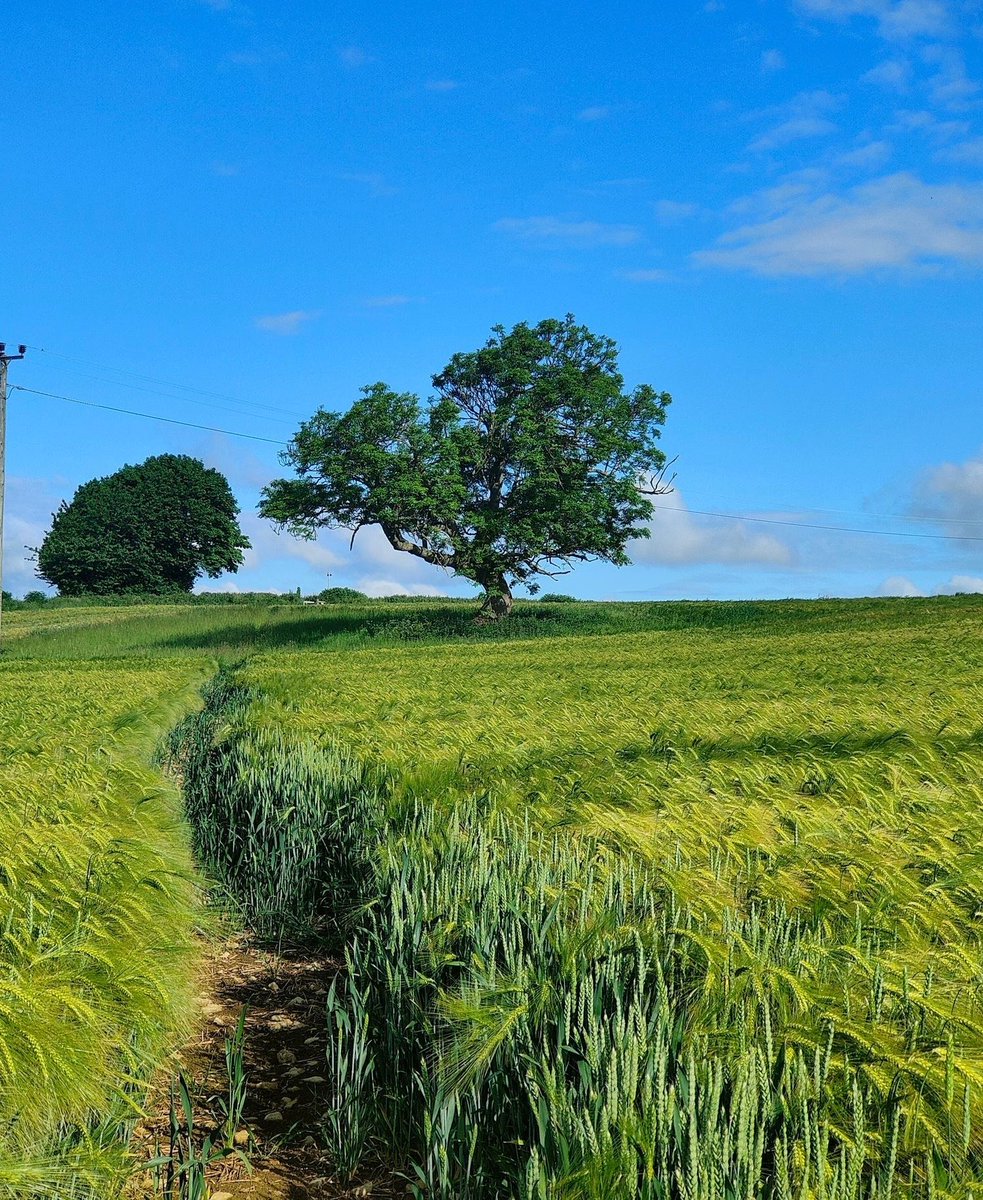 Imagine losing this view…

South Stoke Plateau is under threat. But we can fight back together. Join us at the Public Inquiry on Jan 28th and help protect what matters.