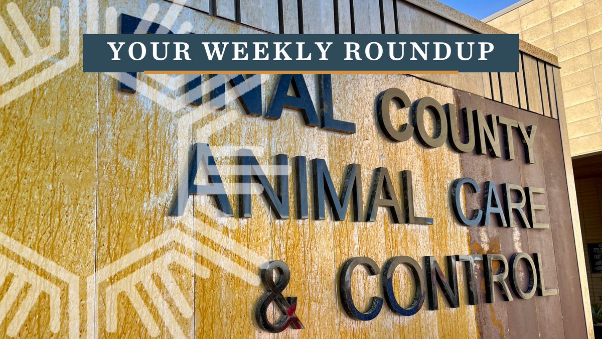 🌵☀️ This week in #PinalCounty:
- Supervisors Cut Ribbon on Renovated Animal Care &amp; Control Facility
- Pinal County 150th Anniversary event in Florence on 2/1
- Last Week for Christmas Tree Disposal

Read it all in this week's Roundup: ow.ly/8h7s50UMXzR