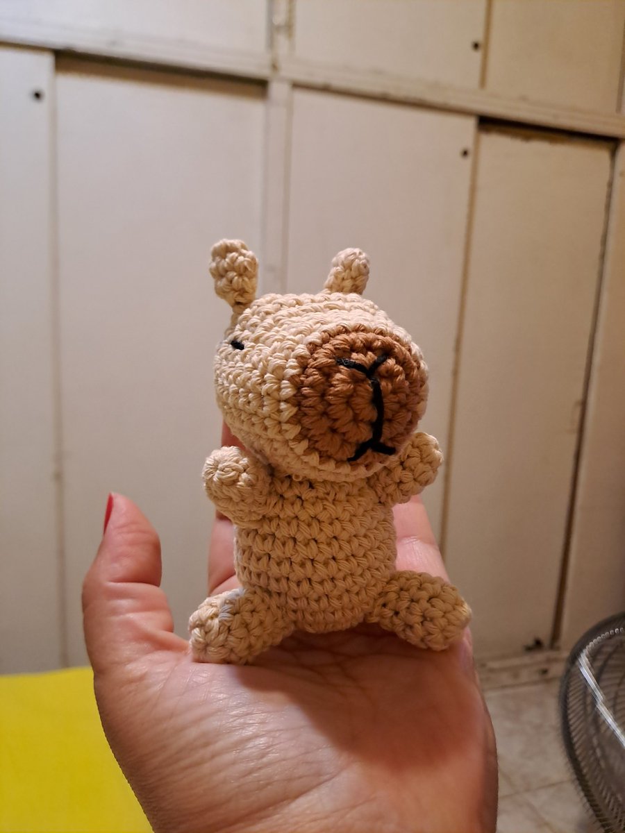 Un bebito carpinchito 😁♥️🧶