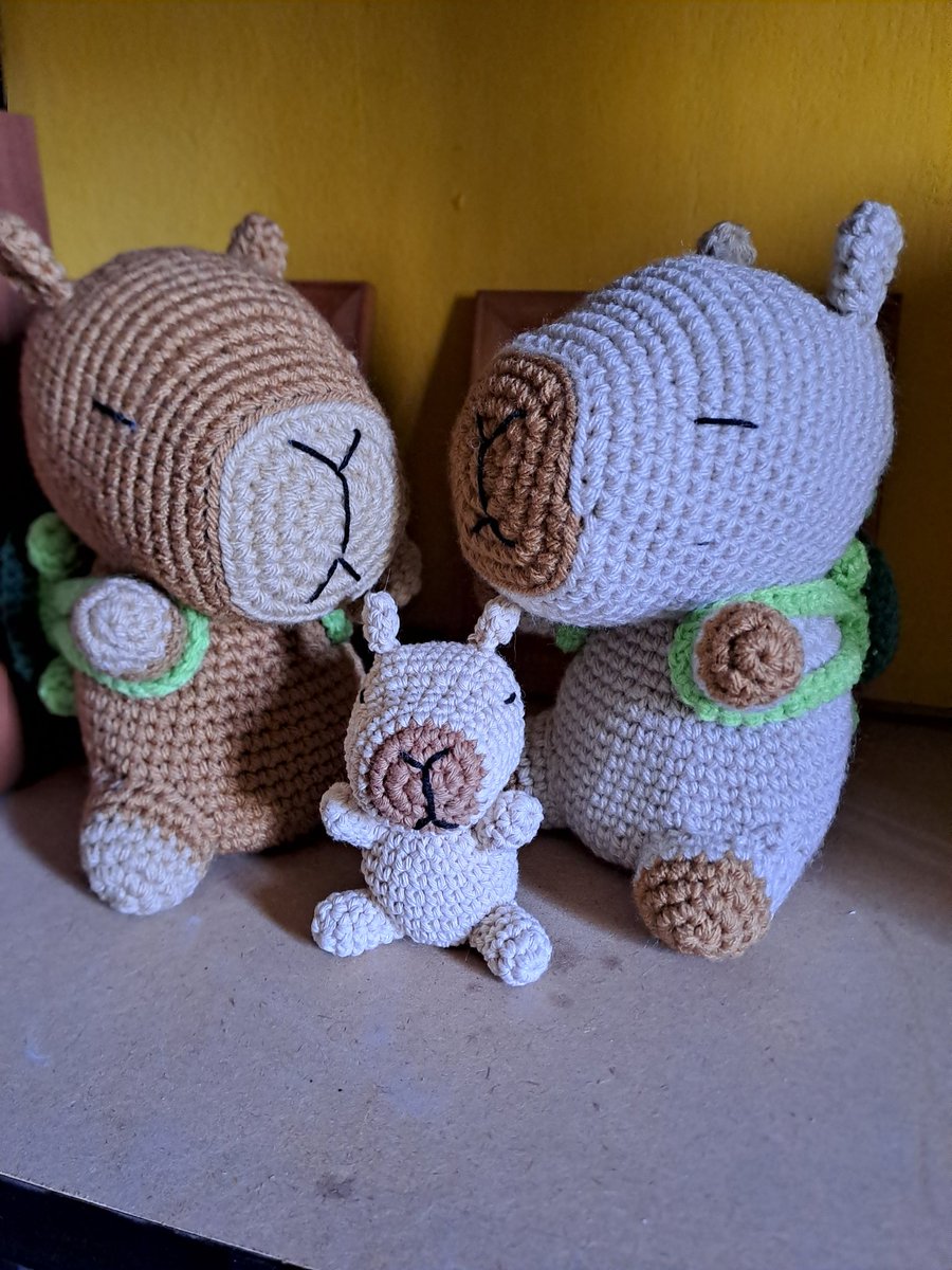 Tejo ternura ♥️😁🧶🧶🧶♥️ flia de carpinchos ♥️