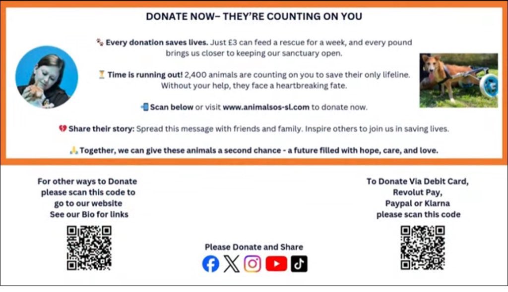 AnimalSOSSLanka's tweet photo. ⏰ TIME IS RUNNING OUT⏰

2,400 animals are counting on us, we only have 2 WEEKS left to save their home!

Our sanctuary is on the brink of closure. 

Without sufficient donations in the next two weeks, these animals will lose their only safe haven 💔

Please help us 🙏

Our incredible sanctuary manager Sam explains everything in this video, please watch 🙏

https://t.co/xjUoJd2gsr

Donation links 👇

https://t.co/pR6ofjv83U

Paypal: donate@animalsos-sl.com

In Sri Lanka 🇱🇰 
Commercial bank, Galle Fort Branch A/C 1050013061 
A/C name Animal SOS Lanka (Pvt) Ltd 

#teamzay #urgent #Saturday #appeal #rescuedog