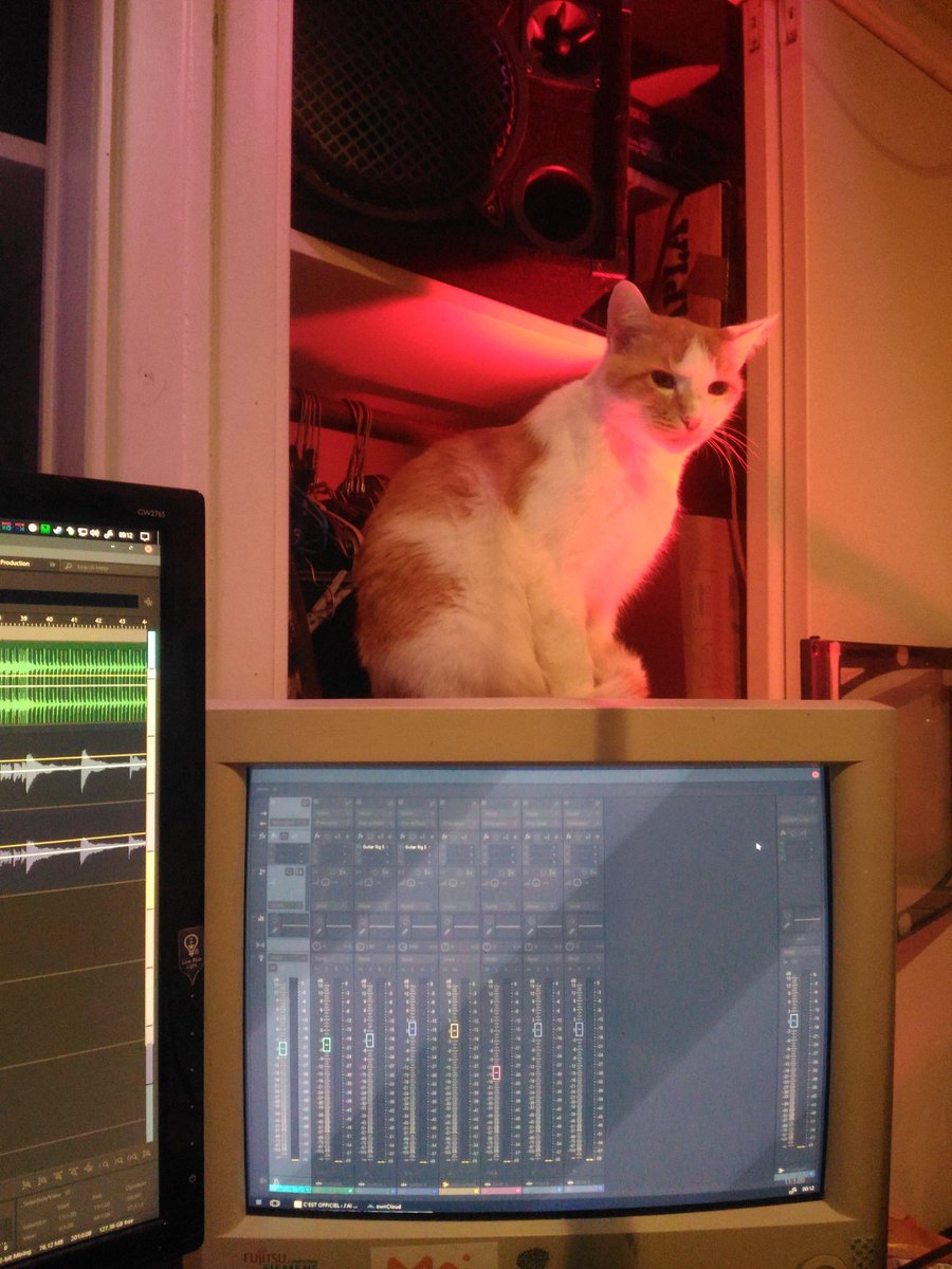 CRT Bot2 (@crt_bot2) on Twitter photo 