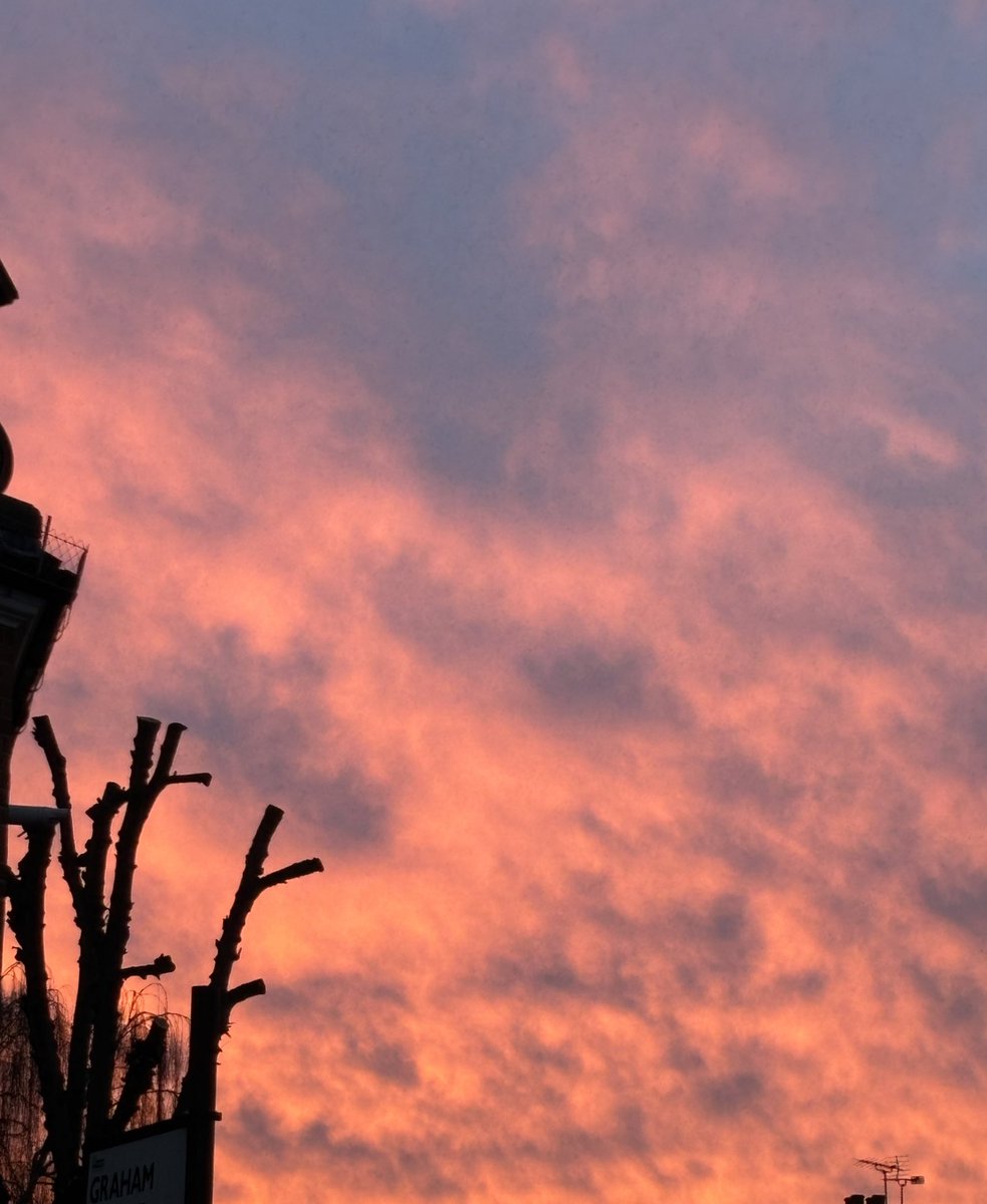 LaurantoniautiC's tweet photo. ~ Sunset sky like the wings of a phoenix. ~ 🌇✨🐦‍🔥

~

#sunsetsky #sunsetphoto #sunsetcolours #sunsetclouds #magichour #beautiful https://t.co/lnbbG7BBNW