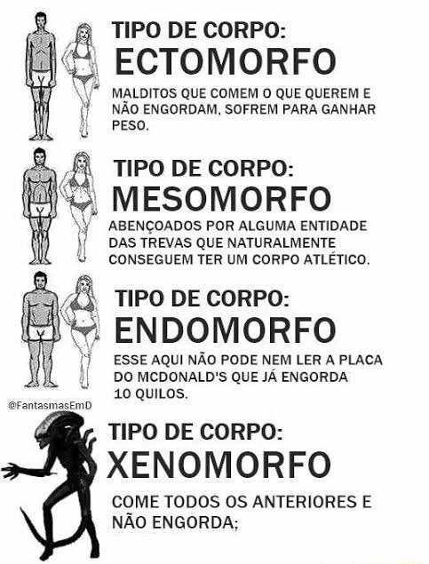 MamacoGolira's tweet photo. Qual seu tipo fisico? https://t.co/1PBqQXldY8