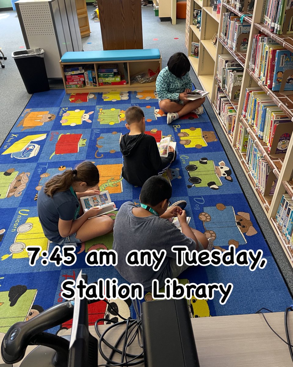 Stallion Library tweet media