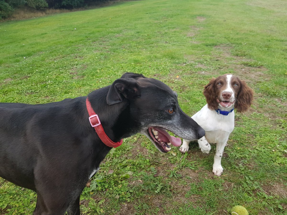 MOM🇺🇸 tweet media