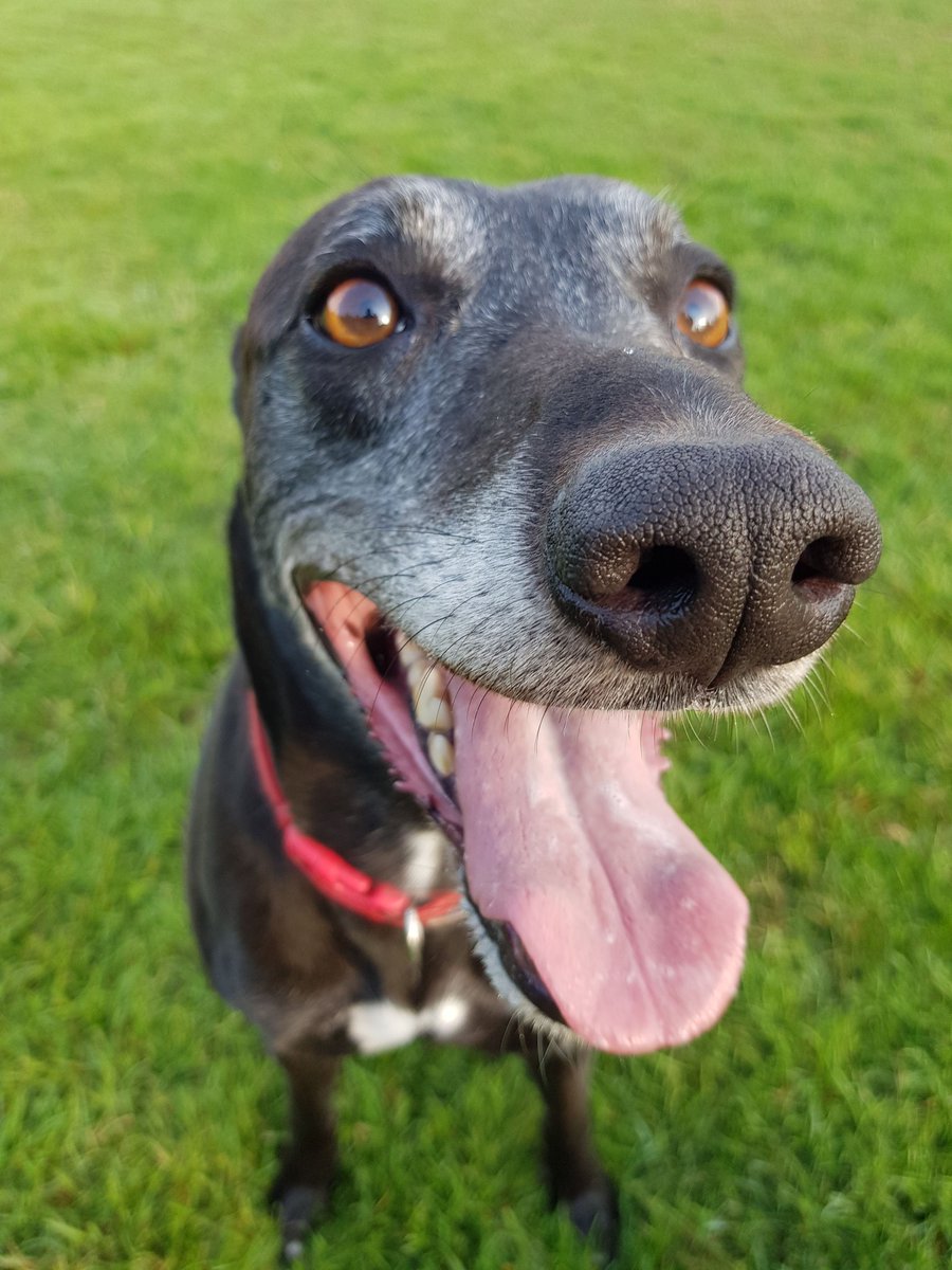 MOM🇺🇸 tweet media