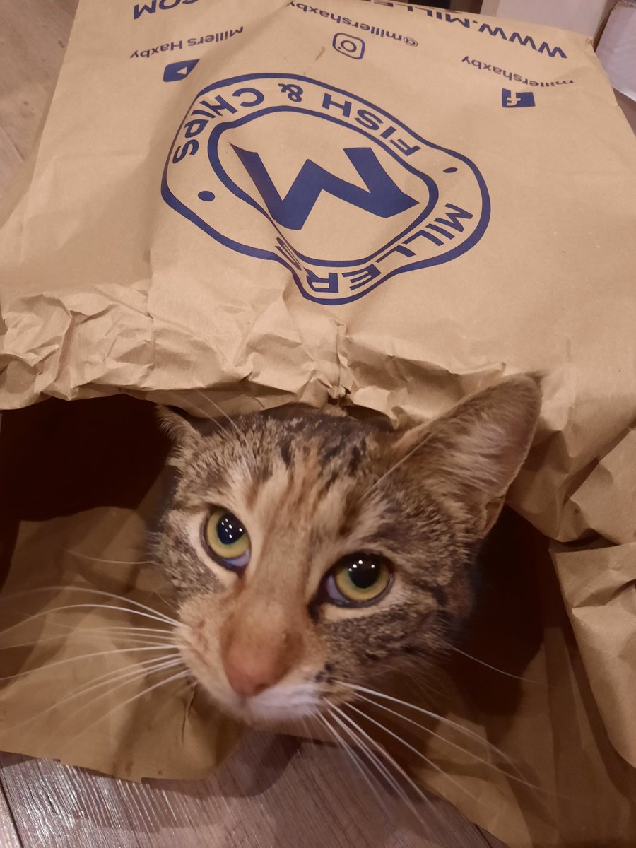 Laura Hendry tweet media