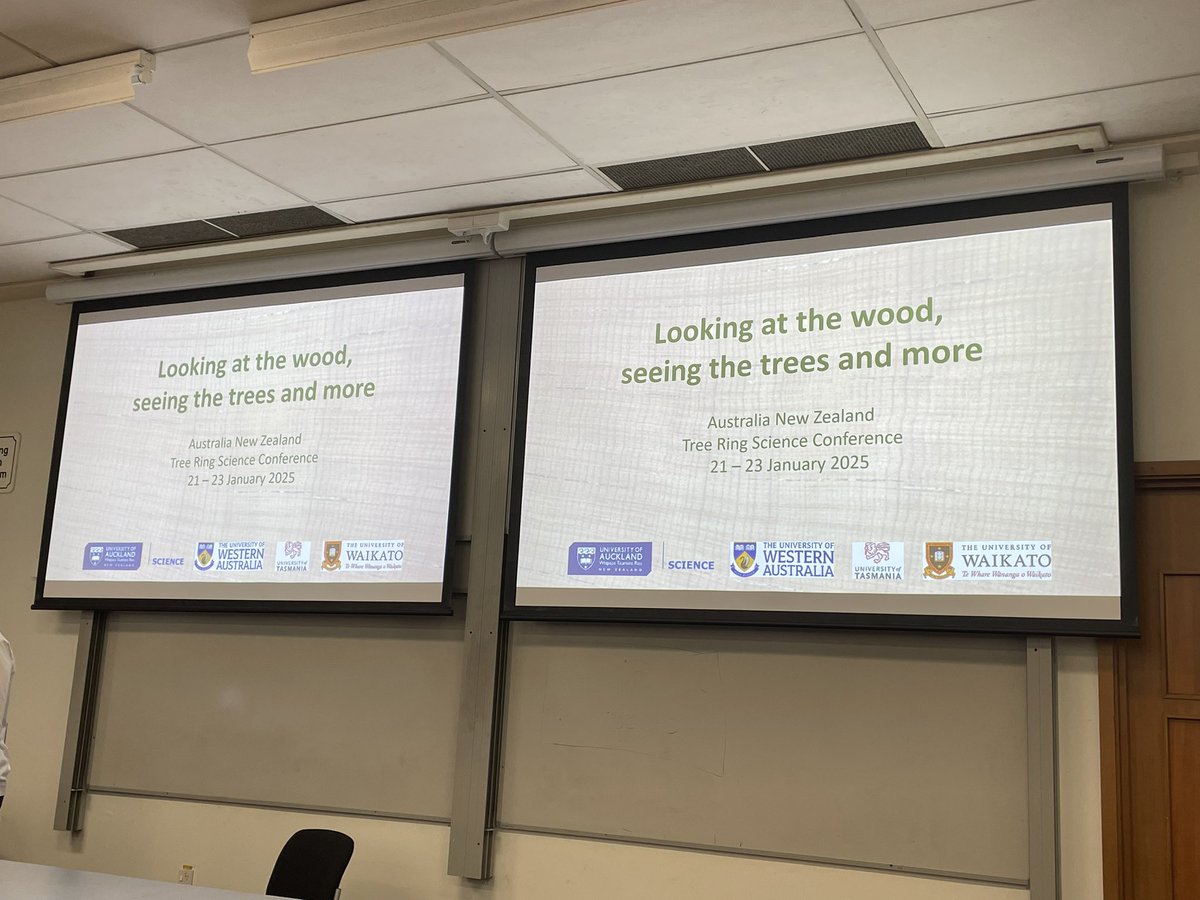 Danielle Verdon-Kidd tweet media