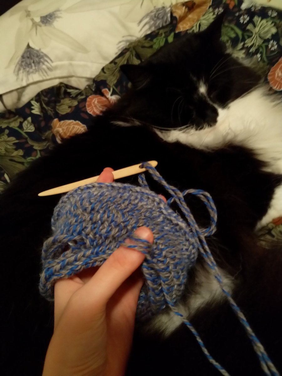 Flitterkriz's tweet photo. #needlebinding #viking #norse #katt #cat https://t.co/tjLkHopWbS