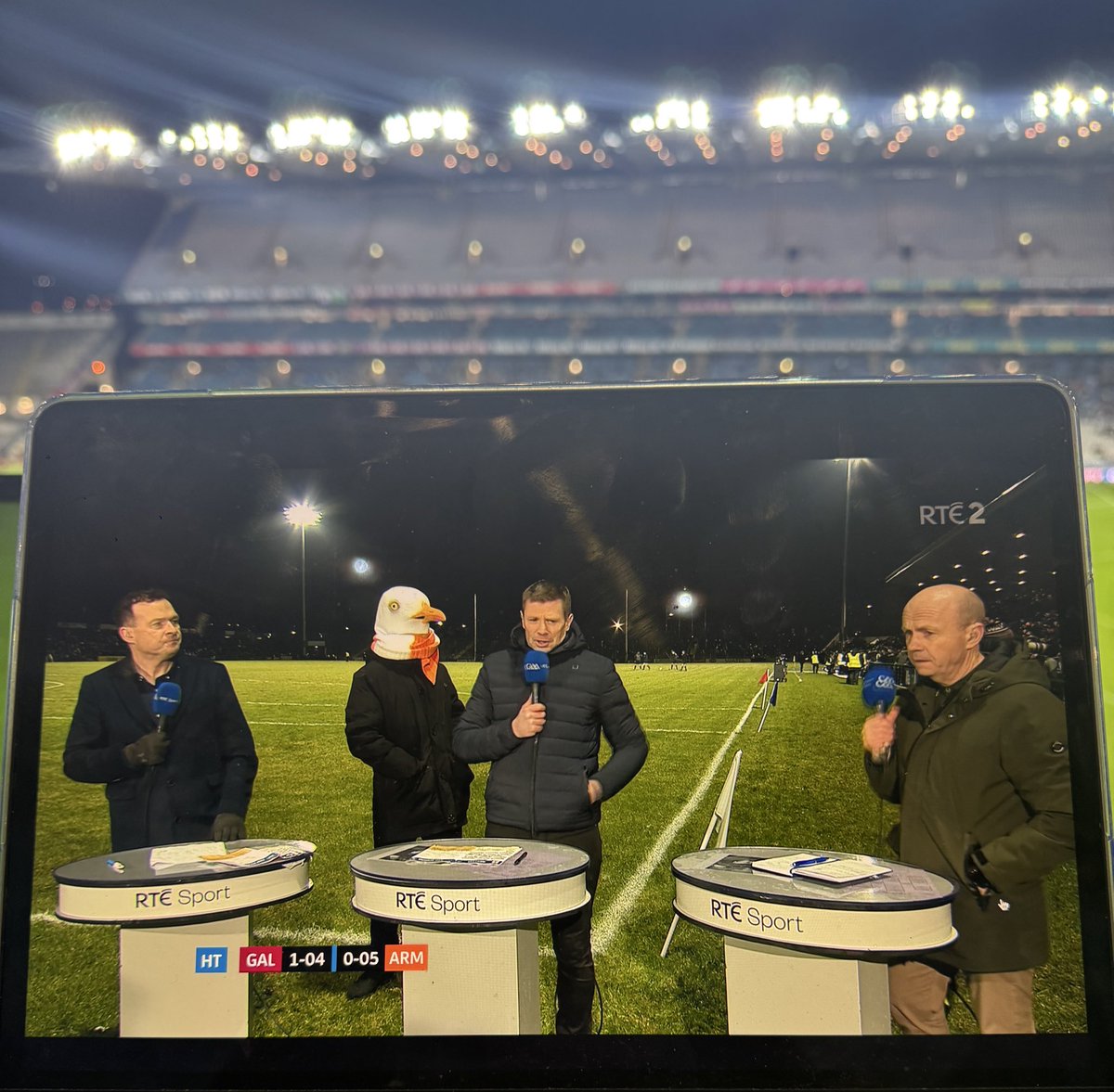 TomasORuanaidh's tweet photo. New year, new rules, same teams from the All-Ireland final and the bloody Seagull is back again 🤣 https://t.co/gQc2xpt1oc