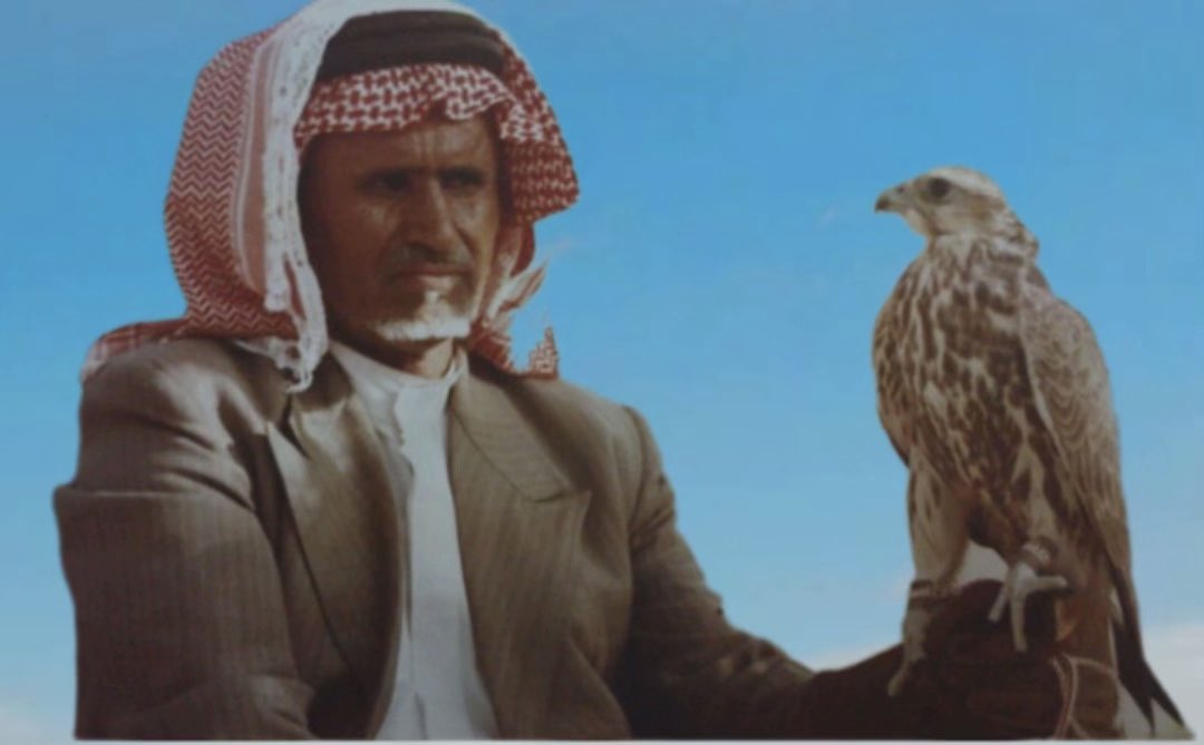 albyan_qh's tweet photo. نبذة الشيخ والصقار المعروف/ شارع بن عبداللّه بن كلثم بن فهيد بن هايض الحميداني الحباب #قحطان المعروف بإسم الشهره ( شارع الحبابي )🚨
ولد في هجرة صبحا في نجد عام ١٣٤٧ هجري ( عام السبله ) وتوفي رحمه اللّٰه عام ١٤١٢ هجري

من أشهر الشخصيات في قبيلة آل حميدان والحباب وقحطان صقار مشهور وتاجر معروف على مستوى الوطن العربي والذي يعتبر أشهر من نار على علم فهو عبارة عن الميزان الذي يعطي الصقر قيمته الحقيقة وهو الذي يفصل بكلمته عند أهل الصقور وكان يستشيره كثير من الأمراء والشيوخ عندما يكون هناك إختلاف على أحد الصقور كان خوي خاص مع صاحب السمو الملكي الأمير/ محمد بن سعود بن عبدالعزيز آل سعود عُرف عنه الصدق والأمانة والإخلاص والوفاء والمروه والشجاعه والكرم وله قصص كثيره تتداول بالمجالس ليومنا هذا اعطاه اللّٰه فراسه بمعرفة الصقور وكان يعطي الصقر حقه حتى لو كان صاحب الصقر جاهلاً بقيمته فهو لا يستغل جهل صاحب الصقر لصالحه وكان رجل يخاف اللّٰه ولا يبخس سلع الناس بدأ بالصقارة وكان عمره ٢٠ عام وكان أول من ساهم في إقامة سوق للصقور وكان حريصاً على وجوده وكان يشتري الصقور من المملكة ومن خارجها ويفضل صقور المملكة وفي بداياته كان يسافر للكويت وسوريا وباكستان لشراء الصقور وكانت الصقور تاتيه من الخارج وكانت صفات الصقر المرغوب أن يكون وافياً في الحجم ولونه أشقر وأشعل ورأسه أبيض وصدره أبيض ورجله قصيره وطويل العاتق وجميل الوسره كان ذكي جداً في إقتناص الصقور النادرة والغاليه وكان المسيطر في سوق الصقور في الرياض الذي أمام قصر الحكم وكان يشتري الصقرب ١٥٠ ألف وبعد الشراء ترتفع قيمة الصقر بمجرد ما ينتشر خبر شراء شارع للصقر في السوق ثم يبيعه
ل ليوم ب ٣٠٠ ألف ب��ارق ومكسب ومن الأماكن التي كان يذهب إليها عند القنص ؟
داخل السعودية في الشمال والصمان والدهناء وخارج المملكة قنص إيران ٩ مرات وباكستان ٣ مرات والسودان ٤ مرات العراق مره وكان أغلى صقر شراه بقيمة ٤٠٠ ألف وقدّمه لصاحب السمو الملكي الأمير/ سلطان بن عبدالعزيز آل سعود
وكان أغلى صقر باعه بقيمة ٤٥٠ ألف..

تأثر به أبنائه وأحفاده 🚨
ومن أبناءه الصقار عبد الله بن شارع الحبابي رحمه اللّٰه تولع بالصقور والقنص مثل أبيه وكان يتاجر بها ومن محبين المقناص داخل وخارج المملكة وكان مرافق وصقار لصاحب السمو الملكي الأمير
بن سعود بن عبد العزيز آل سعود
يا أهل الطيور اللي تبون الد��انير 
من يوم شارع مات لا تجلبونه

 تريحوا بجيوبكم ياصقاقير
 حتى الحماد وساحله لا تجونه

 حتيش لو جبتوا لكم فى الضحى طير 
عود بطيرك مات شارع زبونه

لاشاف خطو مسرولات المغاتير
محد يجيه وحال بالشيك دونه

يشري الخيار ولايهاب المخاسير
واللي يبون الطيبه ينحرونه

يعطي الطيور اثمانها بالتساعير
سومه قرار وكلكم تعرفونه

والله يجازي طيب الذكر بالخير
وبجنة الفردوس يسعد اعيونه 🚨