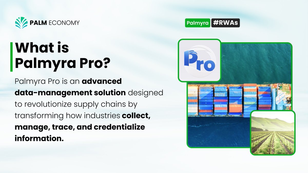 PALM Economy tweet media