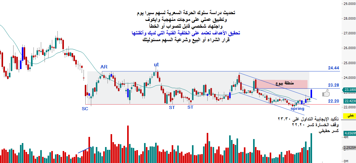 سير يوم تحديث منهجية وايكوف اليومي