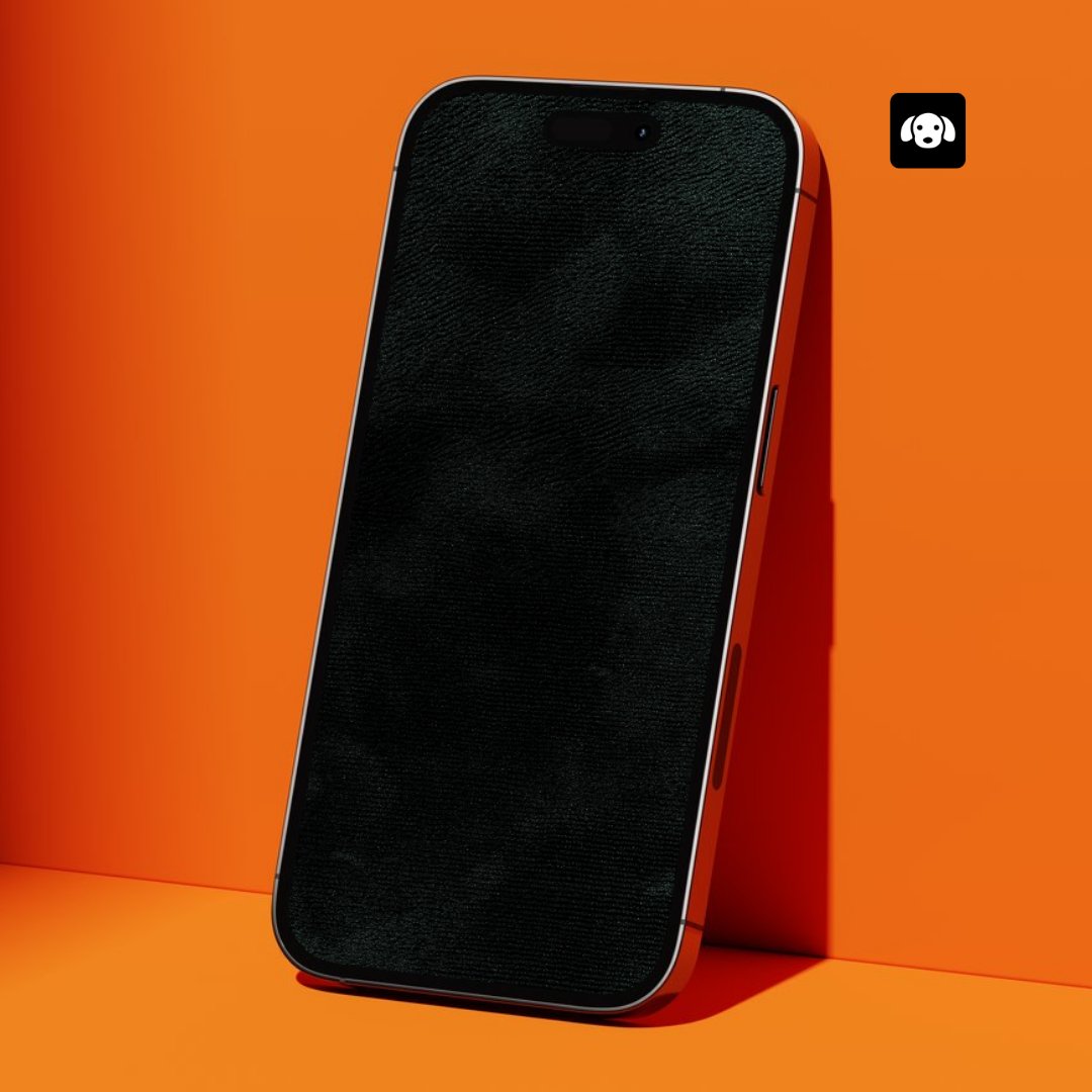 Apni Zamin Apna Makaan tweet media