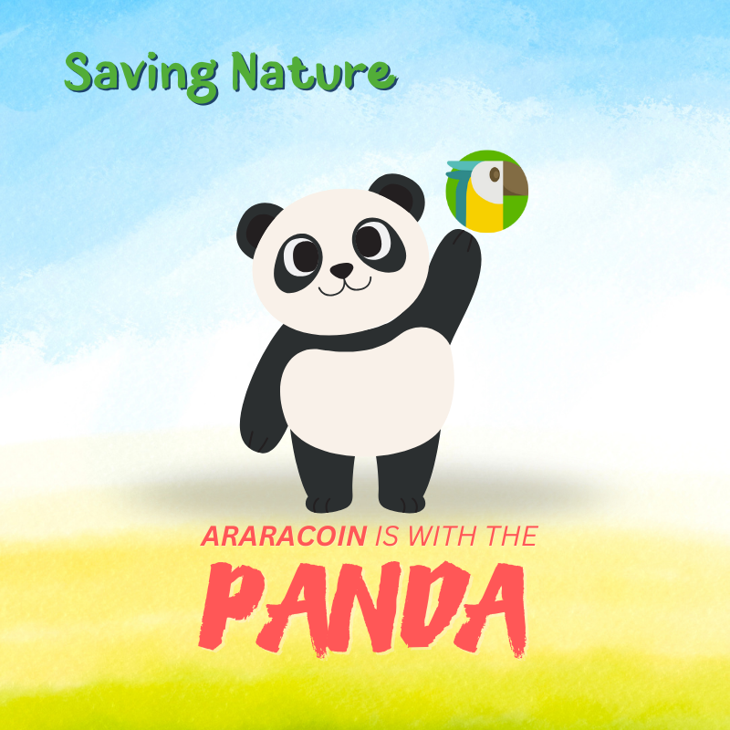 AraracoinX's tweet image. 🐼 Protecting the Giant Panda, one step closer to a      thriving future. 🌱 #WildlifeMatters #SavingNature