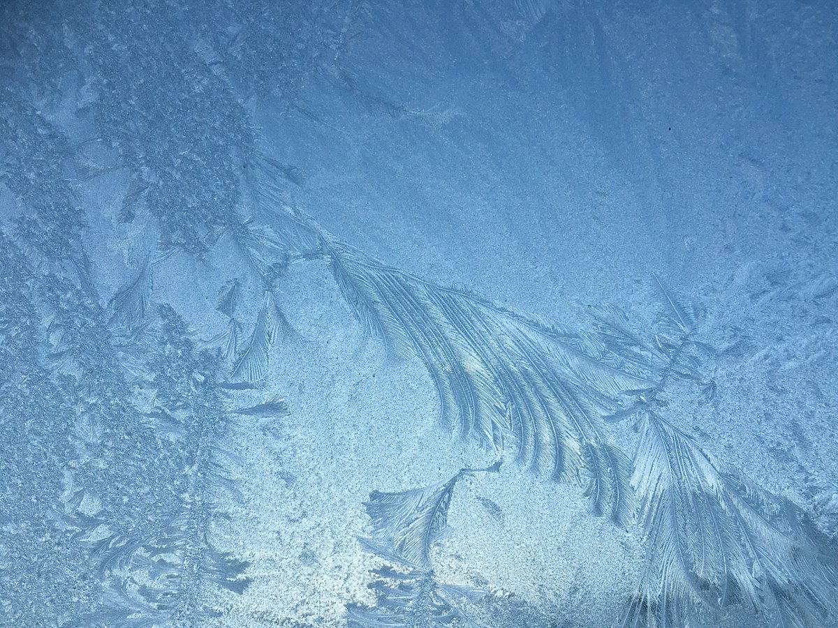 Lynniedrop's tweet photo. Beautiful ice pattern on my car window this morning. https://t.co/IHgeenSIyd